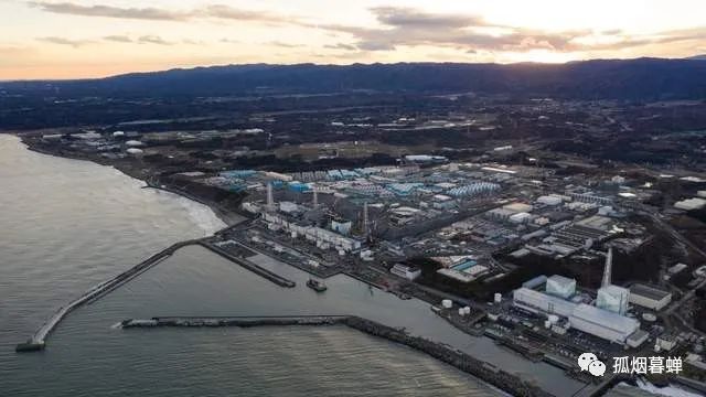 福島幼兒園門口的草地，輻射超標十幾倍